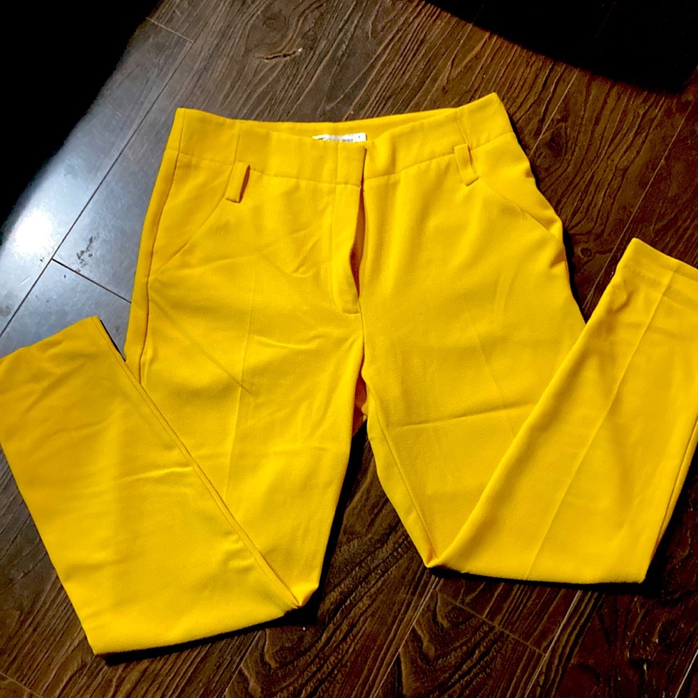7th Avenue New York  Company pants